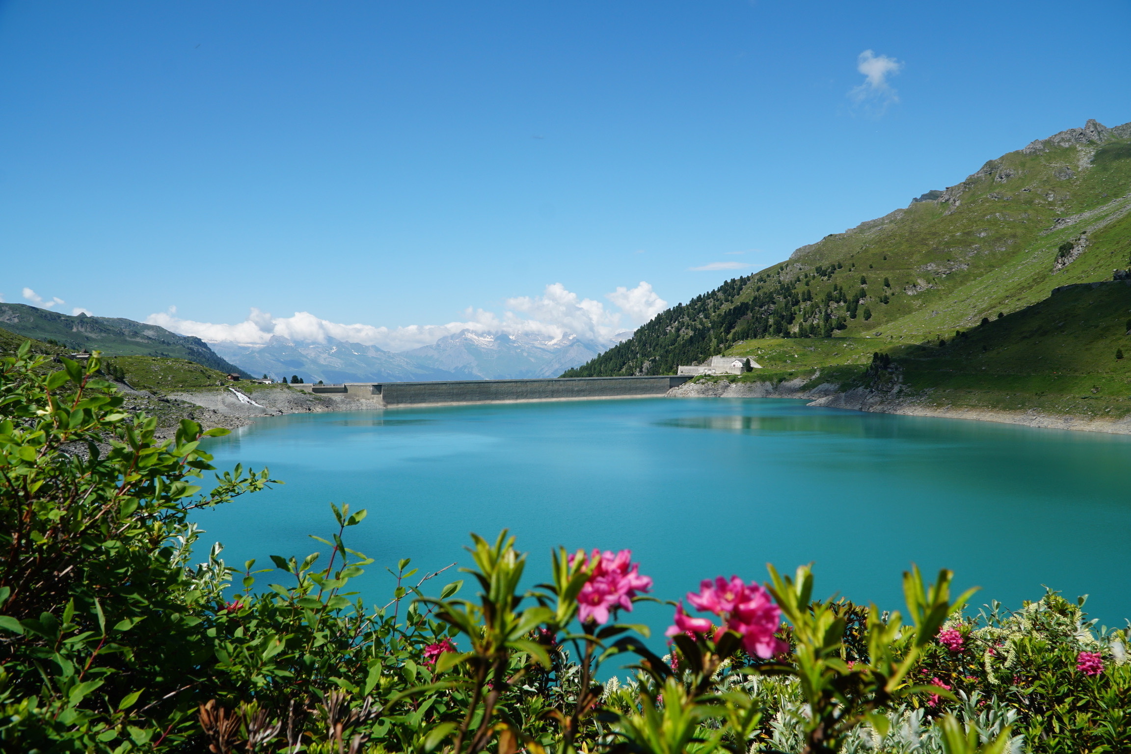Berglandschap Wallis