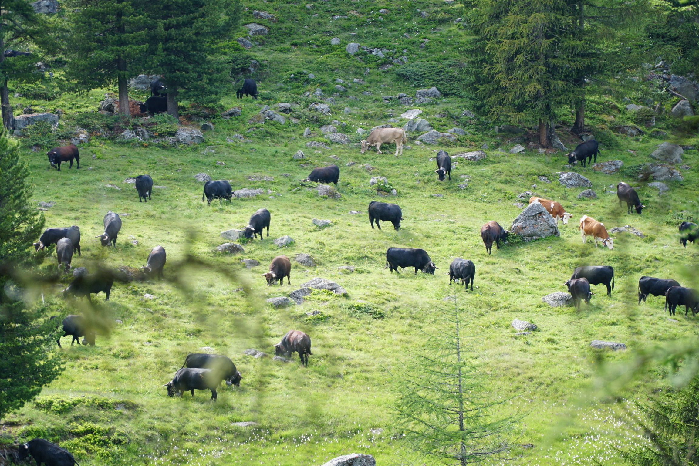 Berglandschap richting Grande Dixence