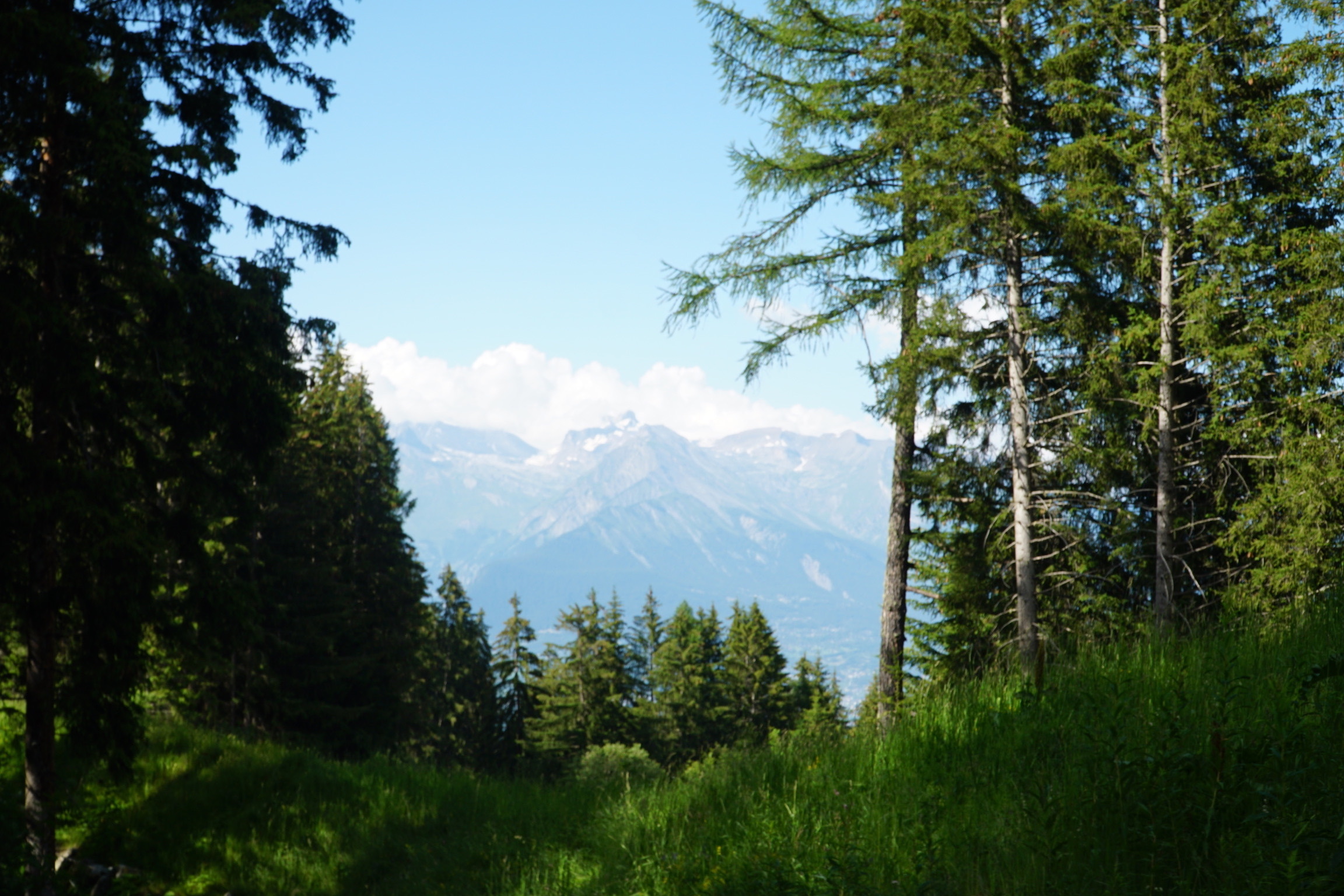 Bergpanorama richting Aletsch