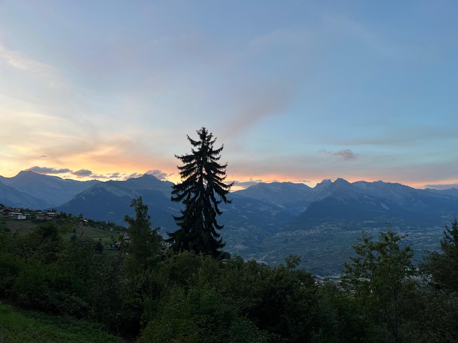 Panoramisch uitzicht vanuit Les Bouillets over de Zwitserse Alpen
