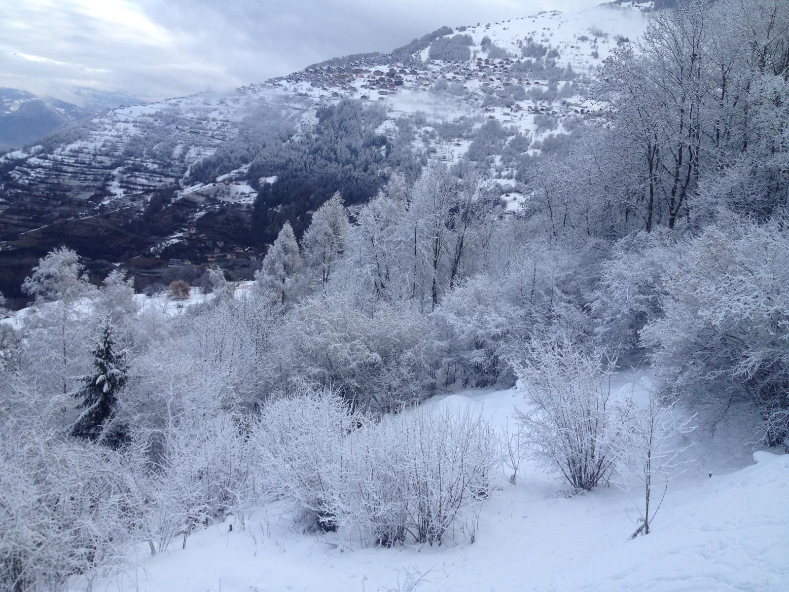 Winters bergpanorama