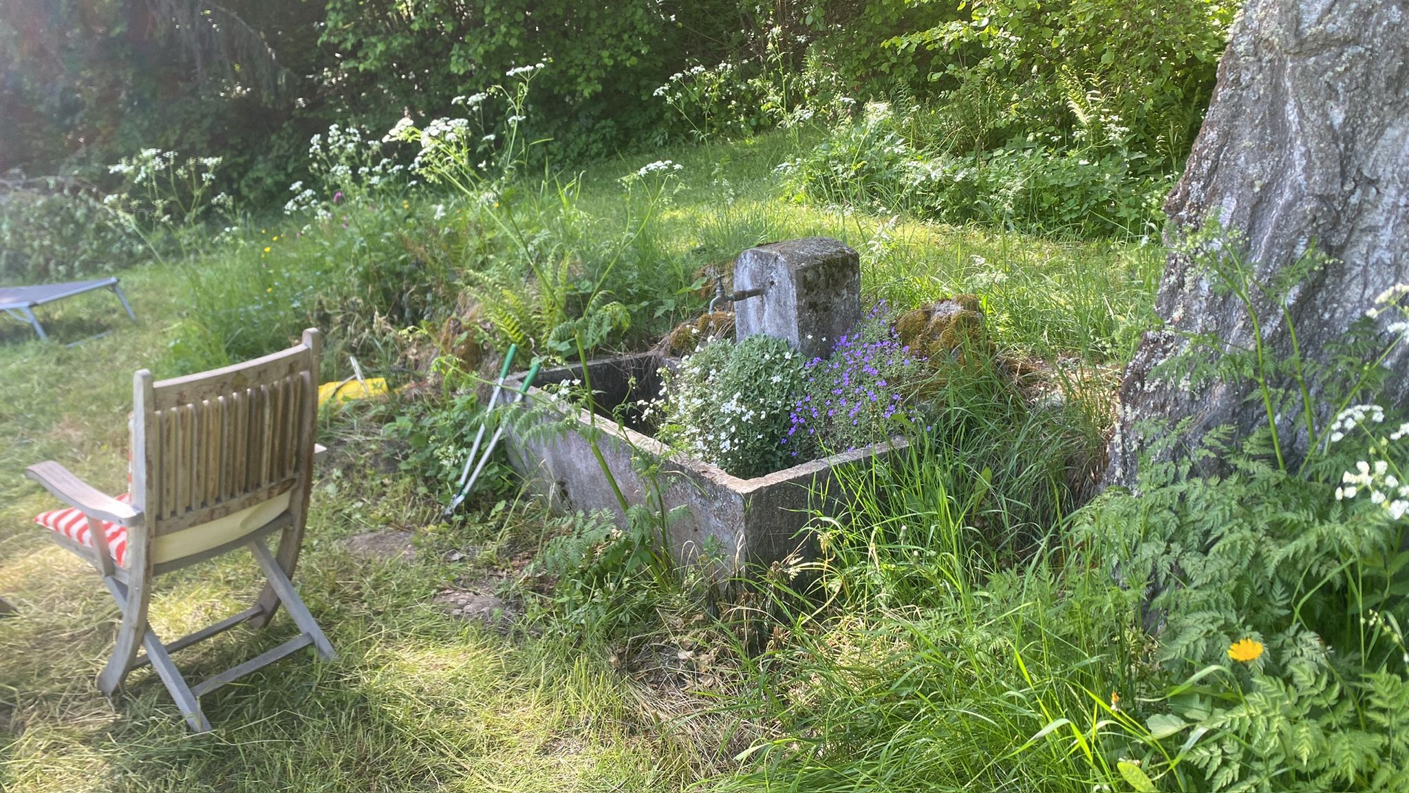 Bisse wandelpad in de bergen