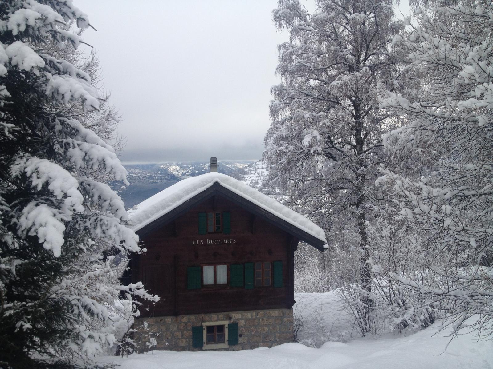 Winters uitzicht vanuit Les Bouillets op besneeuwde bergen